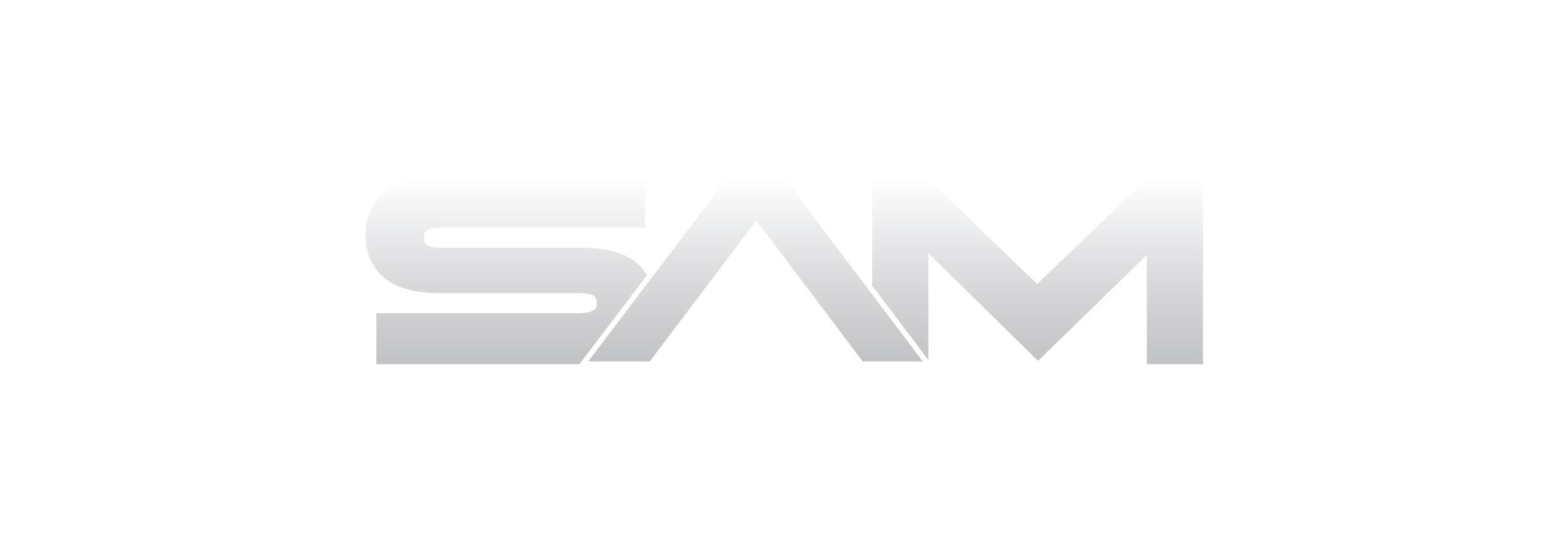 Logo White